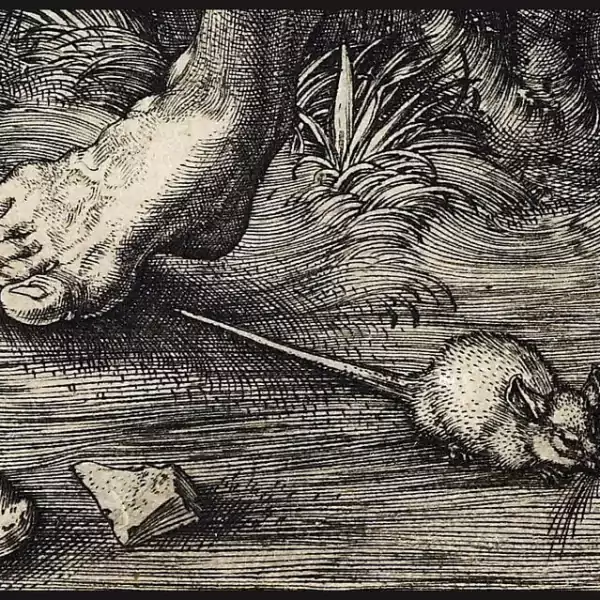Nedir Köşesi Freya Art Gravür Nedir? Nasıl Yapılır? Freya Art