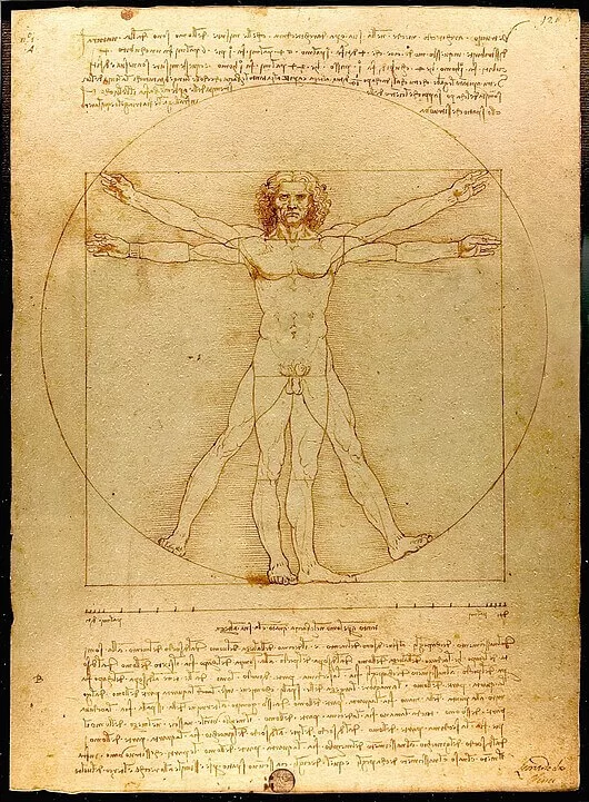 Rönesans Nedir? Temsilcileri Kimlerdir? Freya Art Leonardo da Vinci ve Vitruvius Adamı