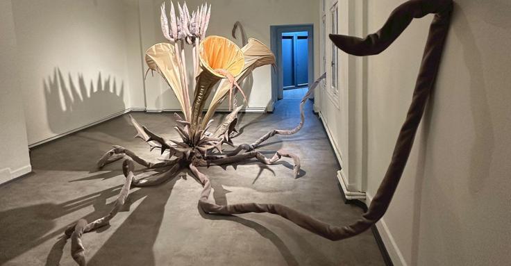 İstanbul Bienali: Elhamra Han’da Sanat Deneyimi